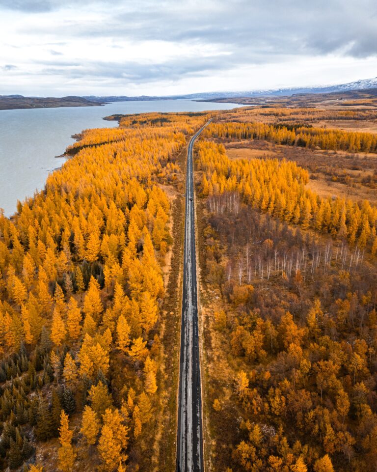 DJI_0791