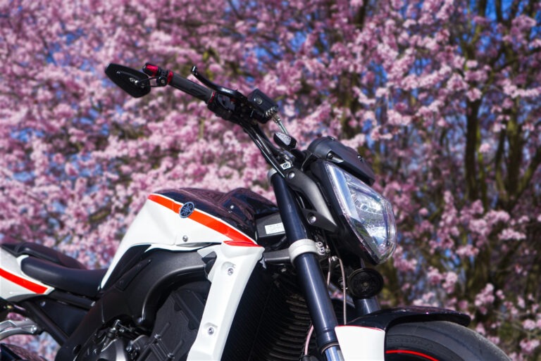 FZ20