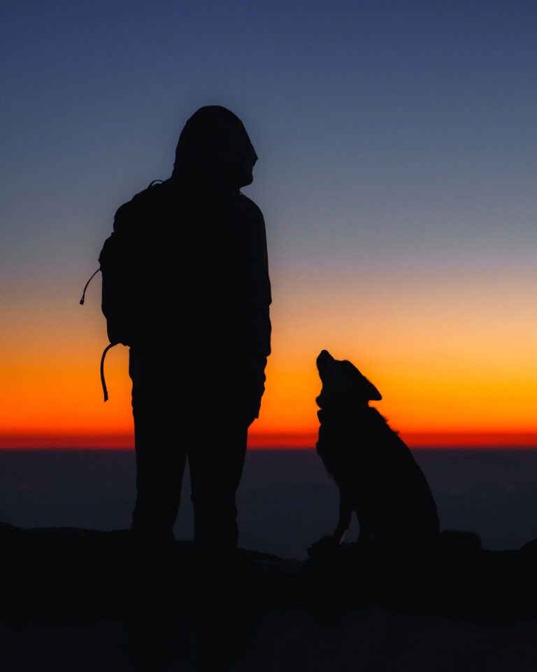 _JDP8760